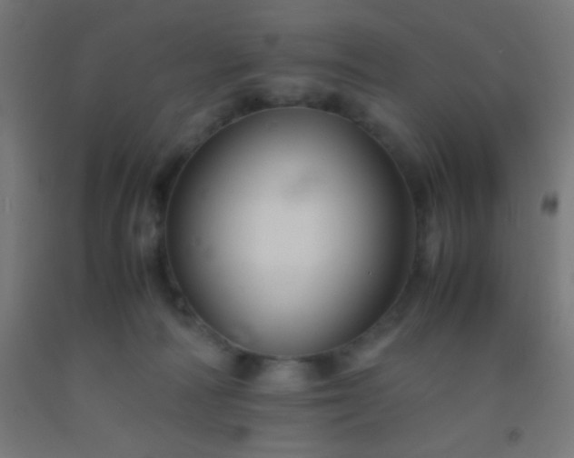 X0000092290226200709281312