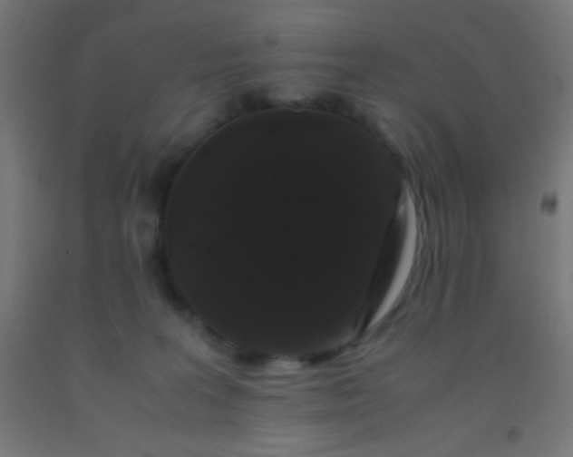 X0000092290227200709281312