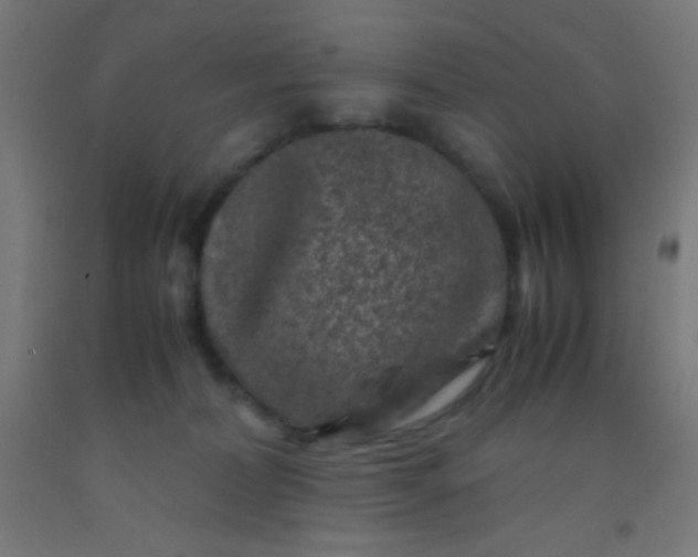 X0000092290228200709281312