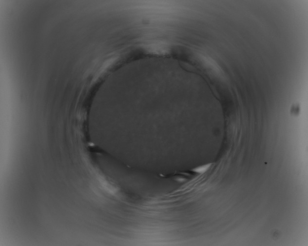 X0000092290229200709281312