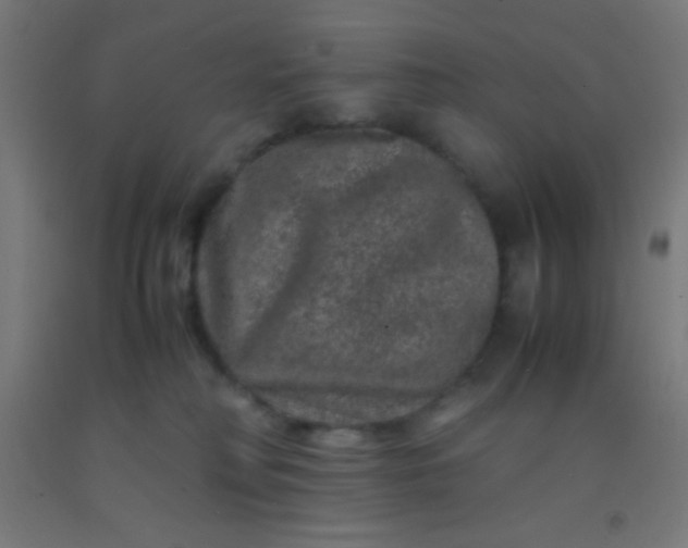 X0000092290230200709281312