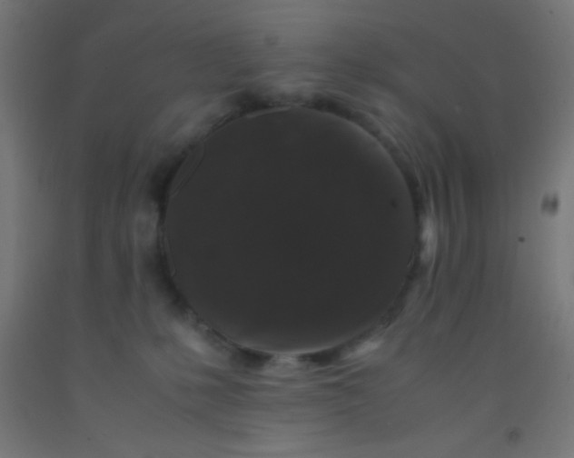 X0000092290231200709281312