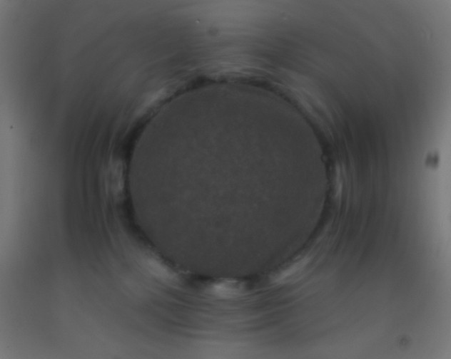 X0000092290232200709281312