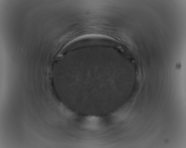 X0000092290233200709281312