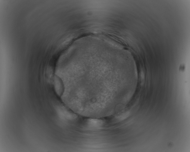 X0000092290234200709281312