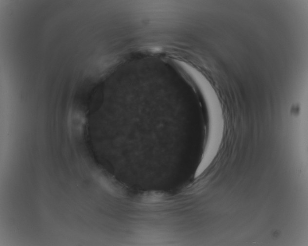 X0000092290235200709281312