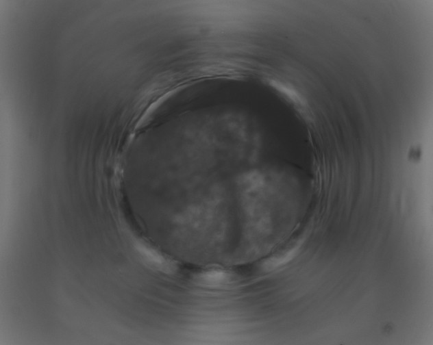 X0000092290237200709281312