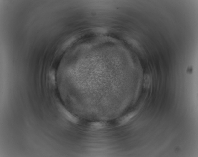 X0000092290238200709281312