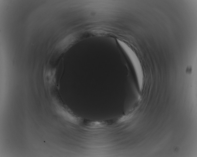 X0000092290239200709281312