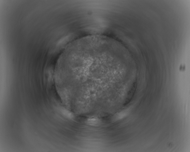 X0000092290240200709281312