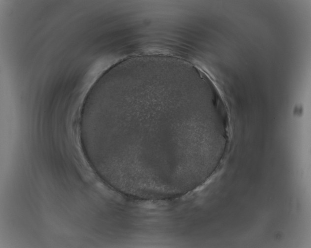 X0000092290241200709281311