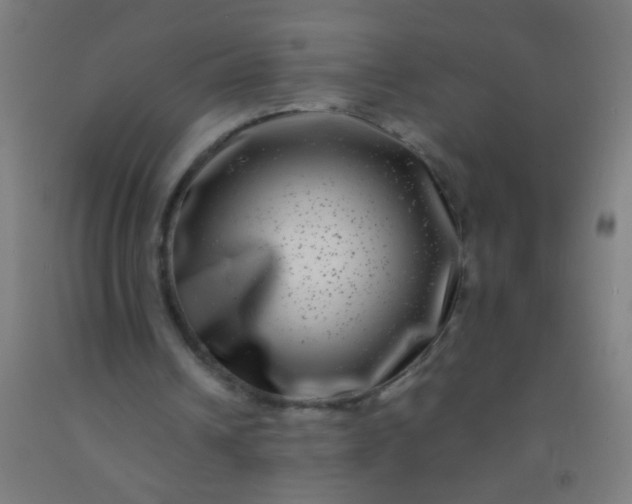 X0000092290242200709281311