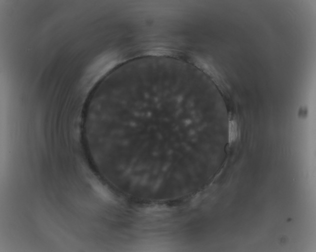 X0000092290243200709281311