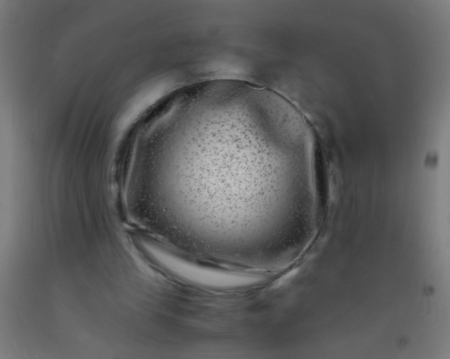 X0000092290245200709281311