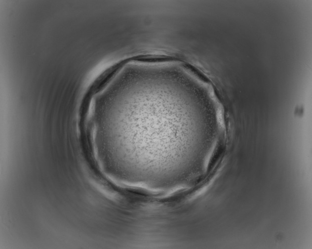 X0000092290246200709281311