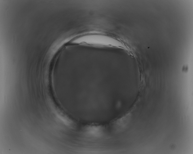 X0000092290247200709281311