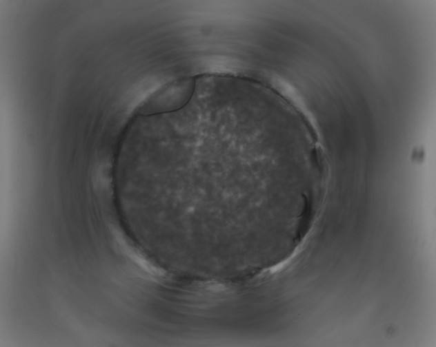 X0000092290249200709281311