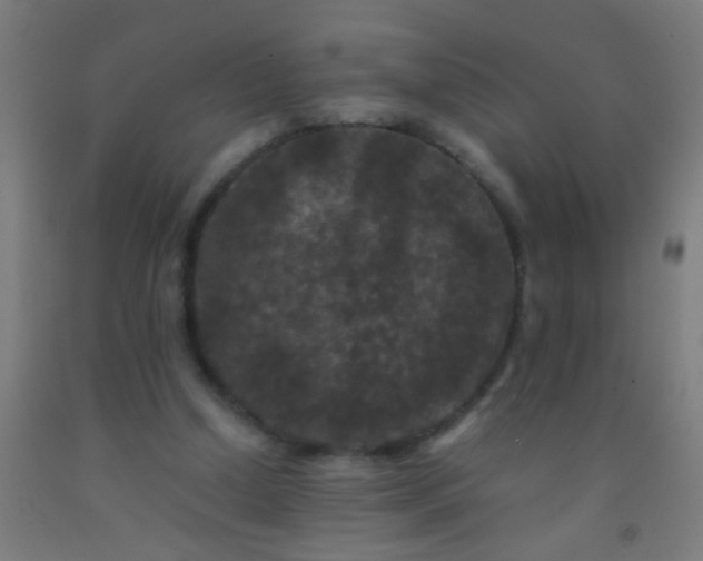 X0000092290250200709281311