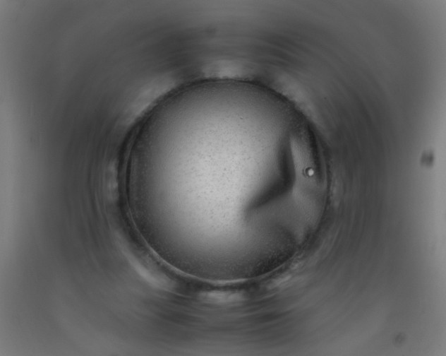 X0000092290251200709281311