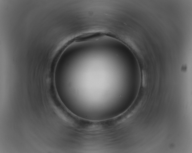 X0000092290252200709281311