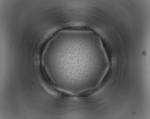 X0000092290254200709281311