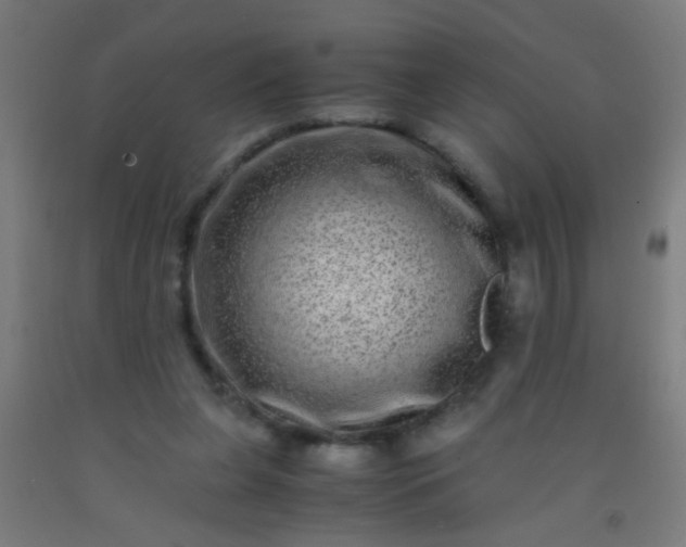 X0000092290255200709281311