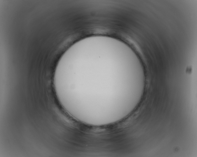 X0000092290257200709281311