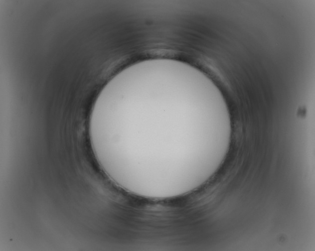 X0000092290259200709281311