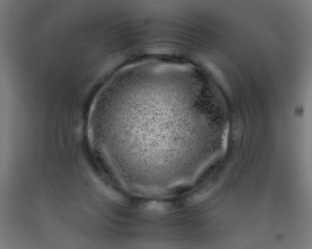 X0000092290261200709281312