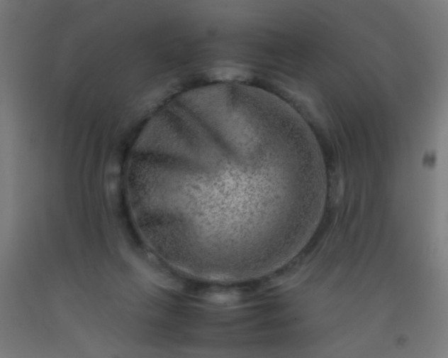 X0000092290263200709281312