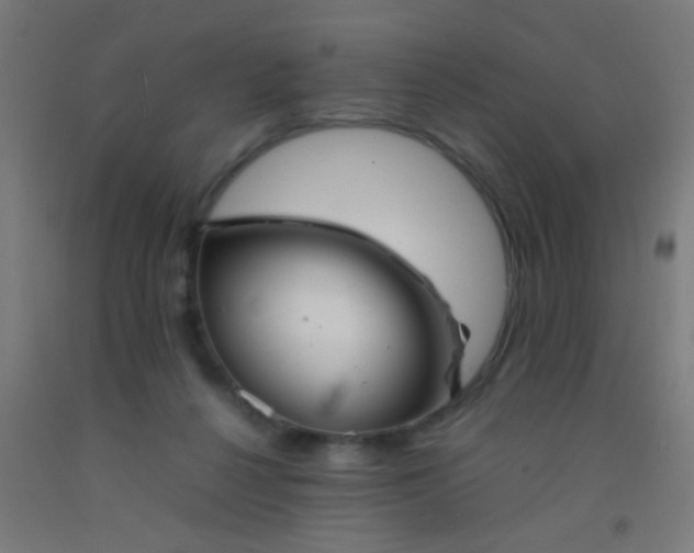 X0000092290264200709281312