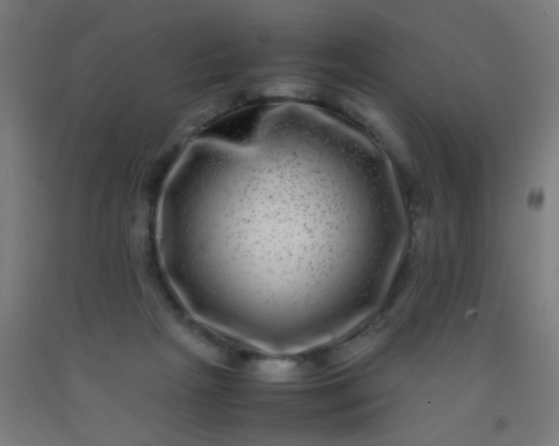 X0000092290265200709281312