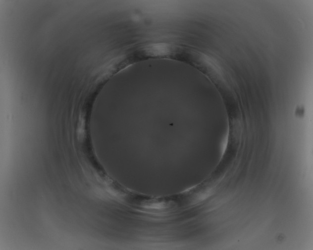 X0000092290267200709281312