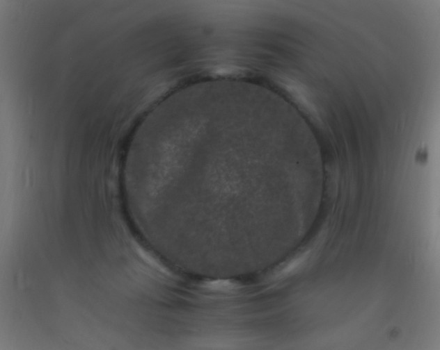 X0000092290269200709281312