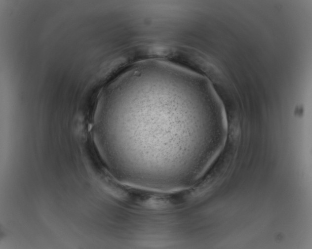 X0000092290270200709281312