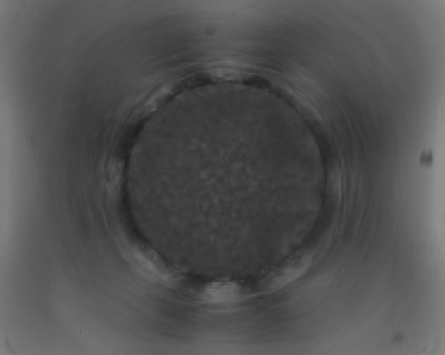 X0000092290271200709281312