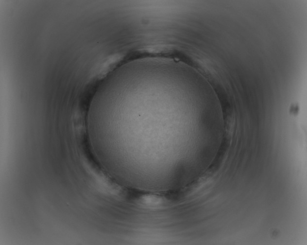 X0000092290272200709281312