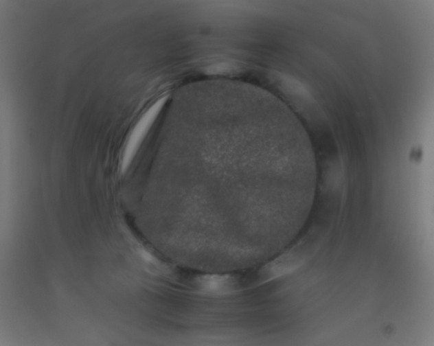 X0000092290273200709281312