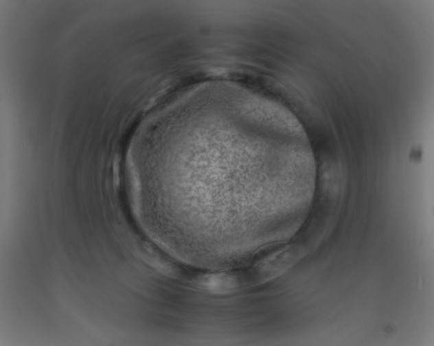 X0000092290275200709281312