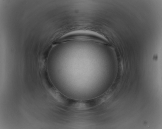 X0000092290276200709281312