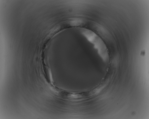 X0000092290277200709281312