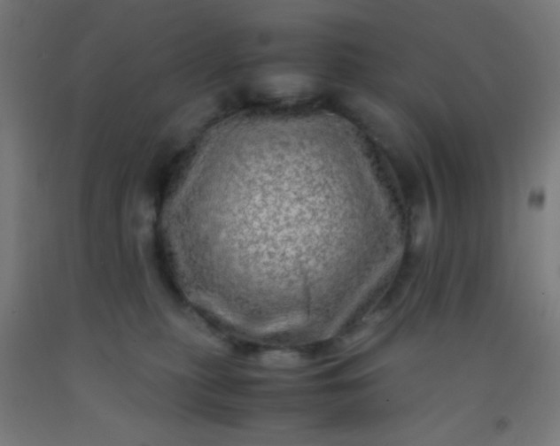 X0000092290279200709281312