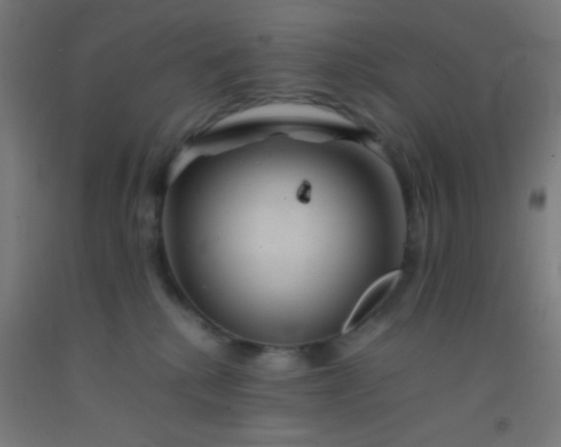 X0000092290280200709281312