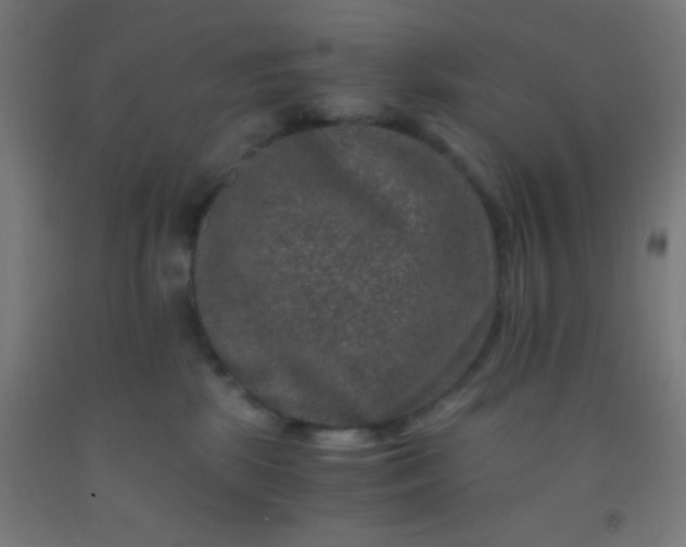 X0000092290281200709281312