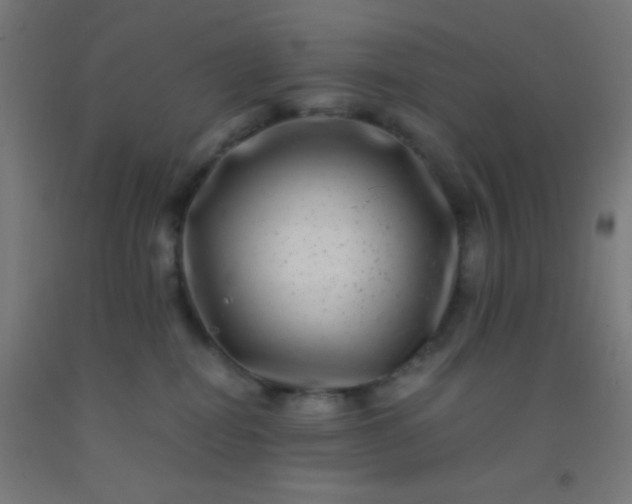 X0000092290282200709281312