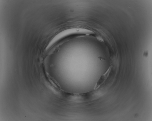 X0000092290284200709281312