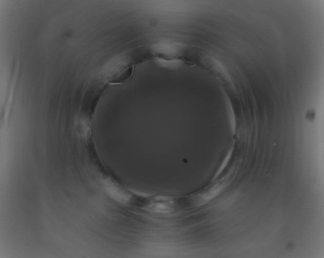 X0000092290285200709281312