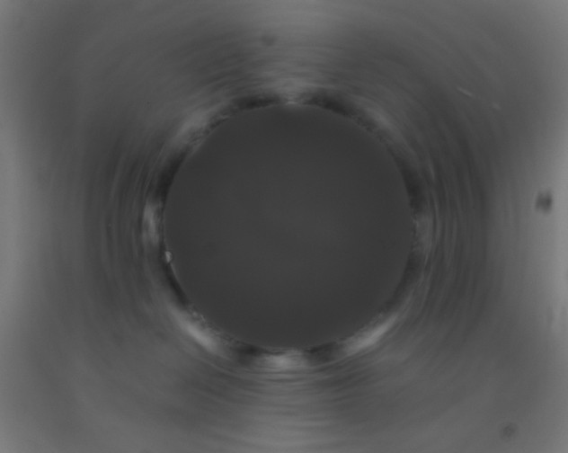 X0000092290286200709281312