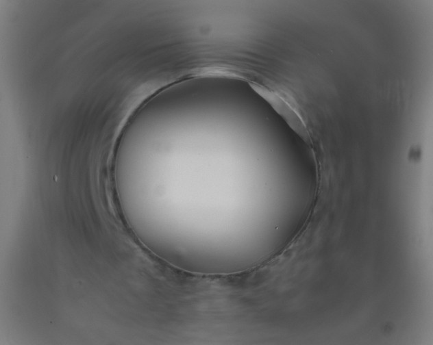 X0000092290289200709281311