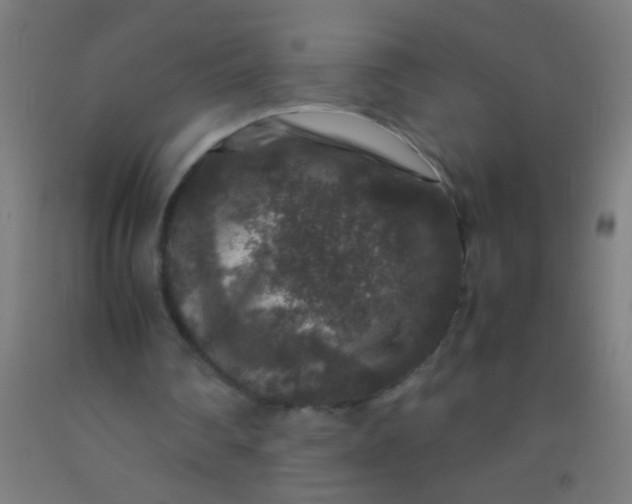 X0000092290290200709281311